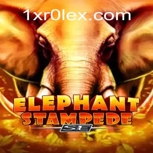 Experience the Adventure with ElephantStampedeSE