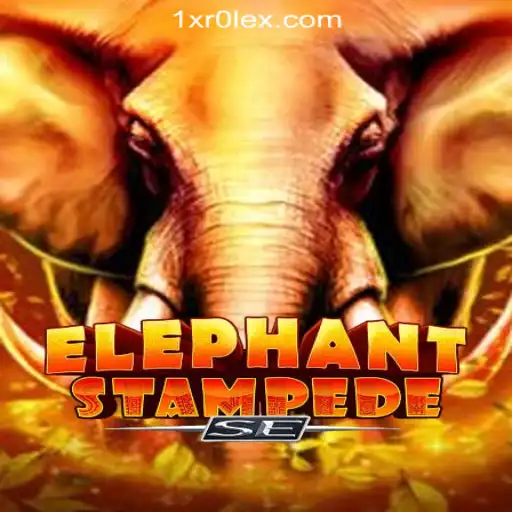Experience the Adventure with ElephantStampedeSE